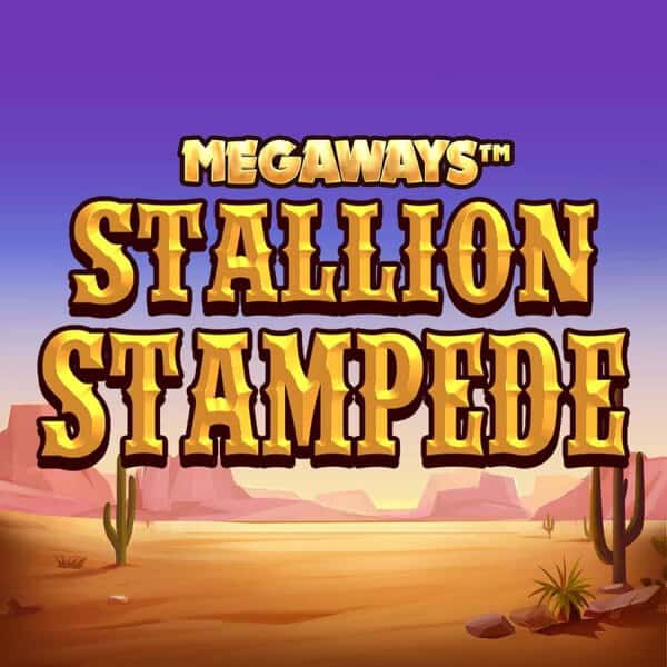 stallion stampede